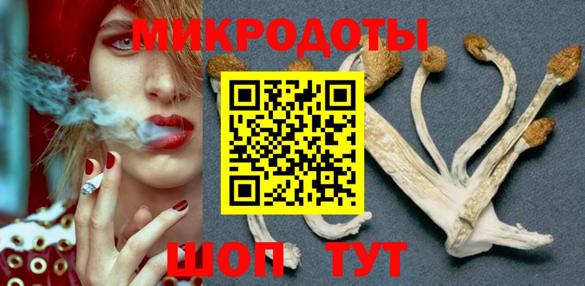 Тихвин  Галлюциногенные грибы Psilocybe  Вход с VPN 