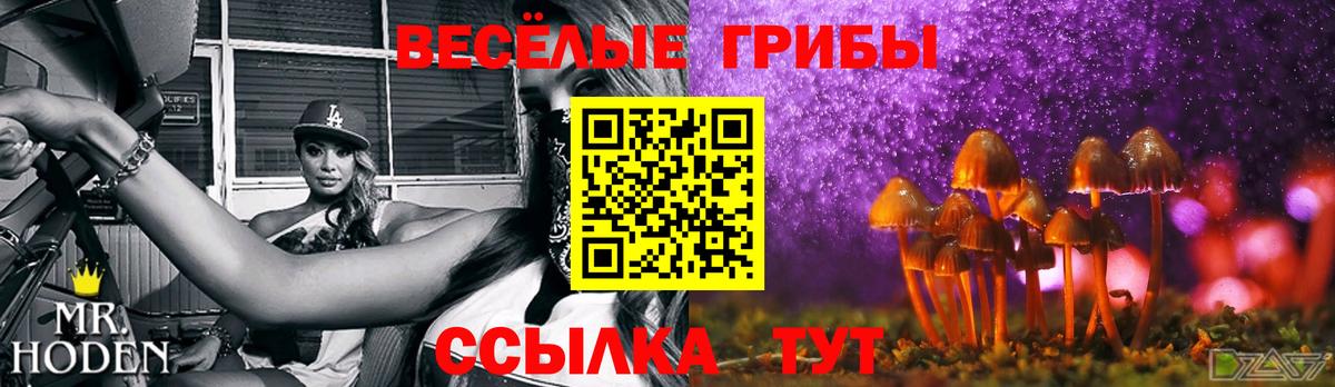 Галлюциногенные грибы прущие грибы Тихвин